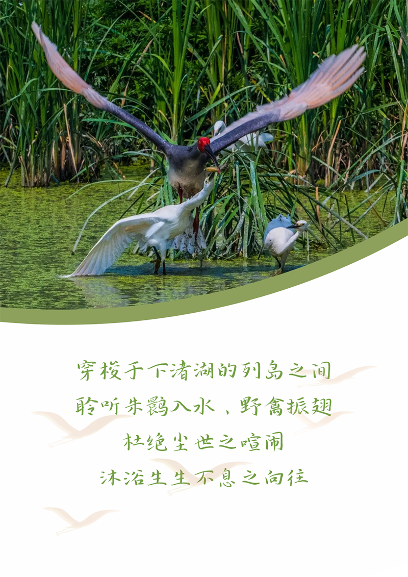 心心念廿 相伴pg电子 | 与德清相约 贺廿载诞辰