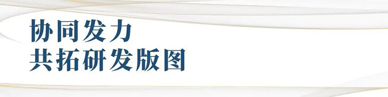 卓er不群 | 追光路上的“立异力”